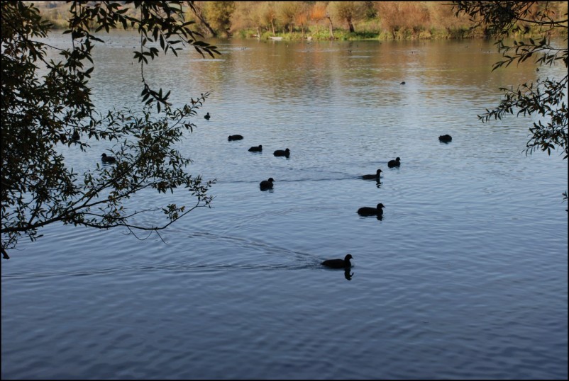 Escursione Lago Posta Fibreno